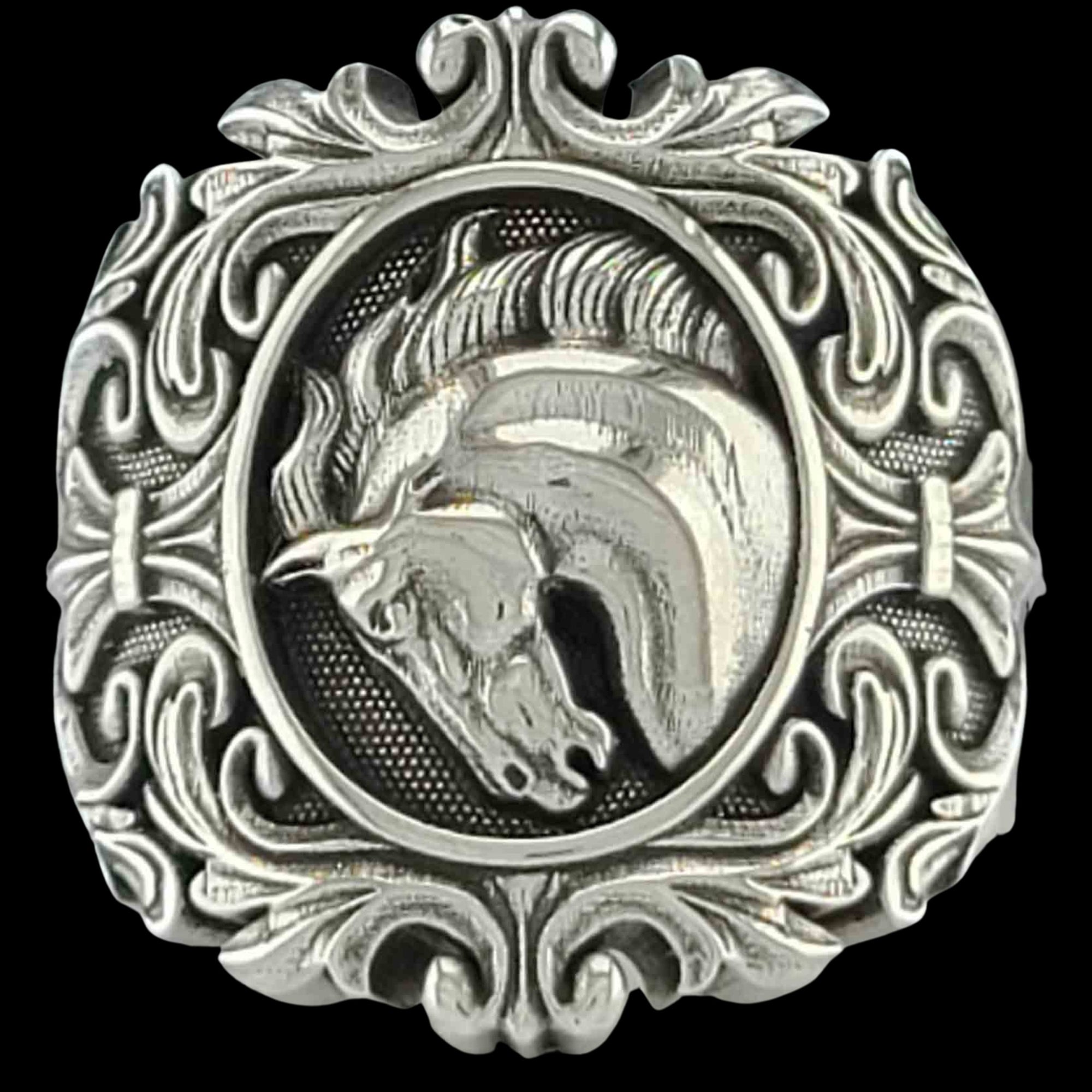 ENDURANCE THE HORSE - Starting at $259