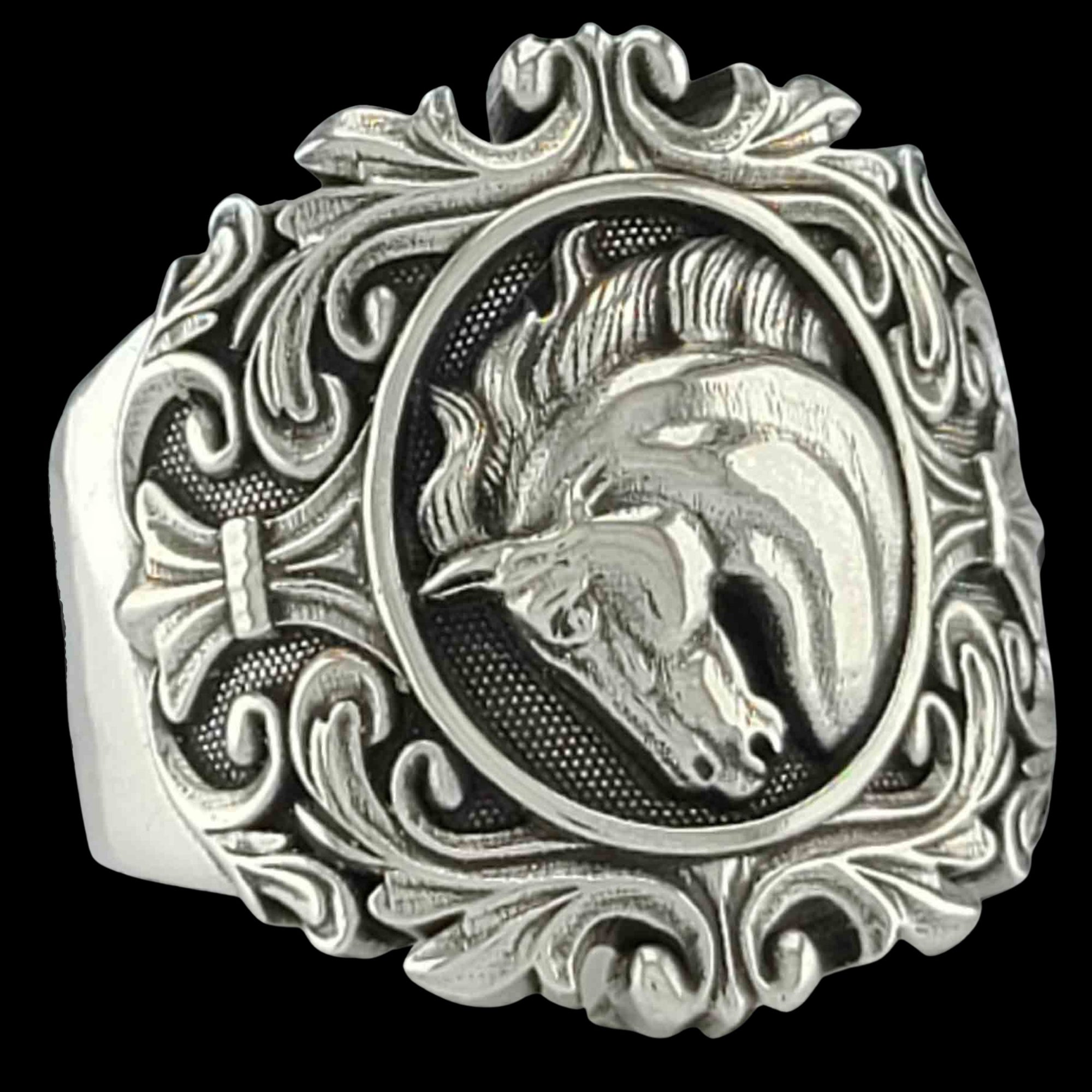 ENDURANCE THE HORSE - Starting at $259